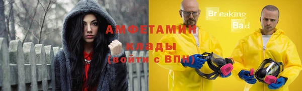 ГАЛЛЮЦИНОГЕННЫЕ ГРИБЫ Белокуриха