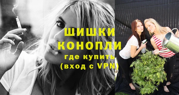 ГАЛЛЮЦИНОГЕННЫЕ ГРИБЫ Белокуриха