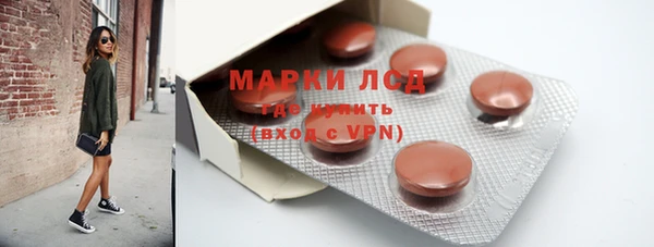 ГАЛЛЮЦИНОГЕННЫЕ ГРИБЫ Белокуриха