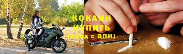 ГАЛЛЮЦИНОГЕННЫЕ ГРИБЫ Белокуриха