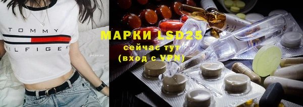 ГАЛЛЮЦИНОГЕННЫЕ ГРИБЫ Белокуриха