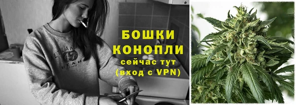 ГАЛЛЮЦИНОГЕННЫЕ ГРИБЫ Белокуриха