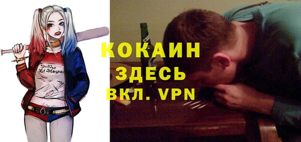 ГАЛЛЮЦИНОГЕННЫЕ ГРИБЫ Белокуриха