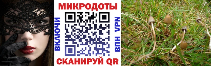 Псилоцибиновые грибы прущие грибы  закладки  Надым 